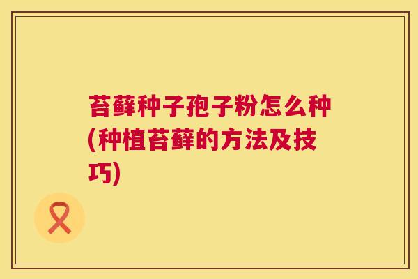 苔藓种子孢子粉怎么种(种植苔藓的方法及技巧)