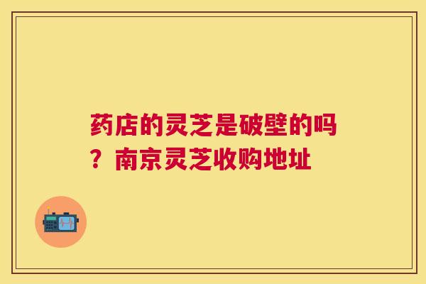 药店的灵芝是破壁的吗？南京灵芝收购地址