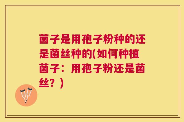 菌子是用孢子粉种的还是菌丝种的(如何种植菌子:用孢子粉还是菌丝?) 菌子是用孢子粉种的还是菌丝种的(如何种植菌子:用孢子粉还是菌丝?)