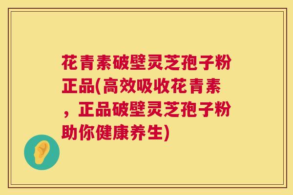 花青素破壁灵芝孢子粉正品(高效吸收花青素,正品破壁灵芝孢子粉助你健康养生) 花青素破壁灵芝孢子粉正品(高效吸收花青素,正品破壁灵芝孢子粉助你健康养生)