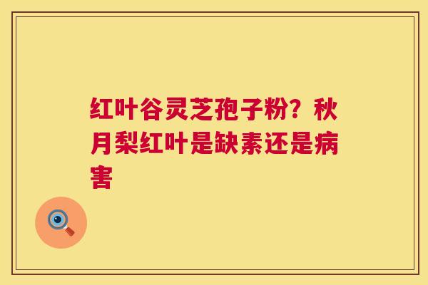 红叶谷灵芝孢子粉?秋月梨红叶是缺素还是害 红叶谷灵芝孢子粉?秋月梨红叶是缺素还是害