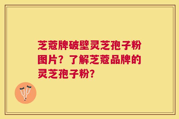 芝蔻牌破壁灵芝孢子粉图片？了解芝蔻品牌的灵芝孢子粉？