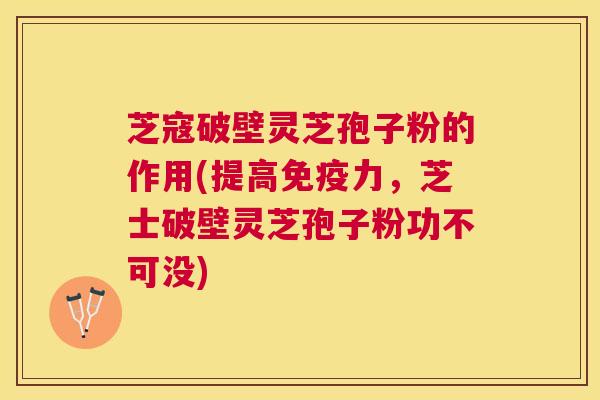 芝寇破壁灵芝孢子粉的作用(提高免疫力,芝士破壁灵芝孢子粉功不可没) 芝寇破壁灵芝孢子粉的作用(提高免疫力,芝士破壁灵芝孢子粉功不可没)