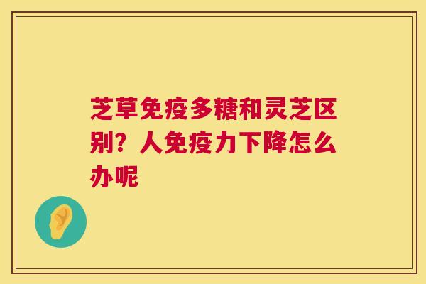 芝草免疫多糖和灵芝区别？人免疫力下降怎么办呢