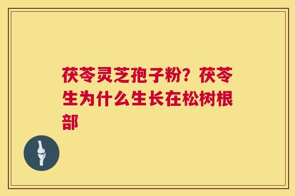 茯苓灵芝孢子粉?茯苓生为什么生长在松树根部 茯苓灵芝孢子粉?茯苓生为什么生长在松树根部