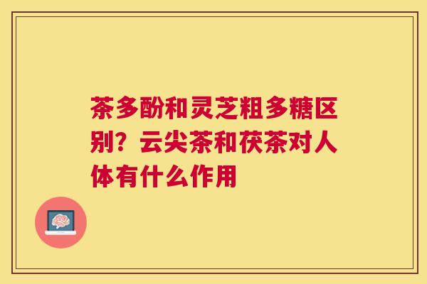 茶多酚和灵芝粗多糖区别？云尖茶和茯茶对人体有什么作用