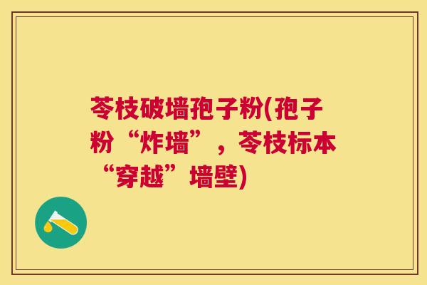 苓枝破墙孢子粉(孢子粉“炸墙”,苓枝标本“穿越”墙壁) 苓枝破墙孢子粉(孢子粉“炸墙”,苓枝标本“穿越”墙壁)