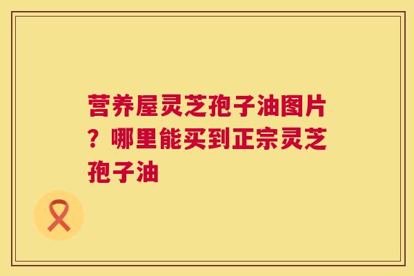 营养屋灵芝孢子油图片？哪里能买到正宗灵芝孢子油
