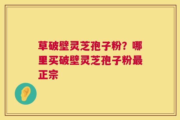 草破壁灵芝孢子粉?哪里买破壁灵芝孢子粉正宗 草破壁灵芝孢子粉?哪里买破壁灵芝孢子粉正宗