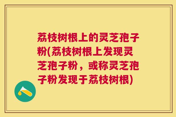 荔枝树根上的灵芝孢子粉(荔枝树根上发现灵芝孢子粉,或称灵芝孢子粉发现于荔枝树根) 荔枝树根上的灵芝孢子粉(荔枝树根上发现灵芝孢子粉,或称灵芝孢子粉发现于荔枝树根)