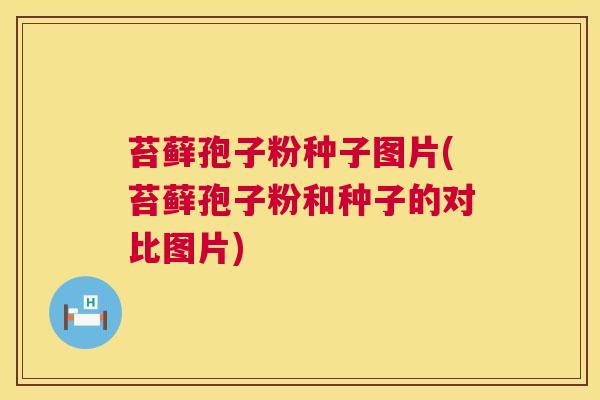 苔藓孢子粉种子图片(苔藓孢子粉和种子的对比图片) 苔藓孢子粉种子图片(苔藓孢子粉和种子的对比图片)