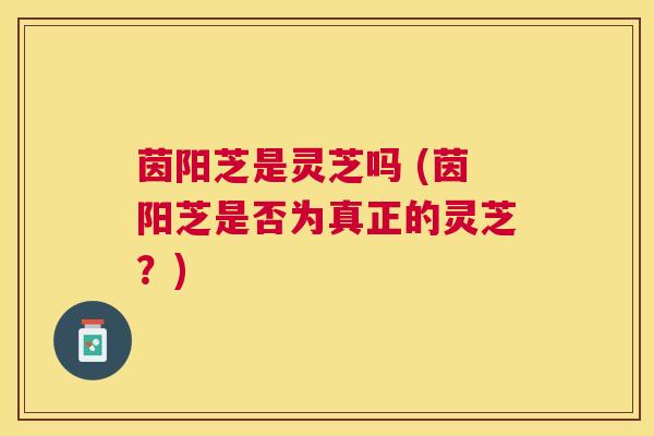 茵阳芝是灵芝吗 (茵阳芝是否为真正的灵芝？)