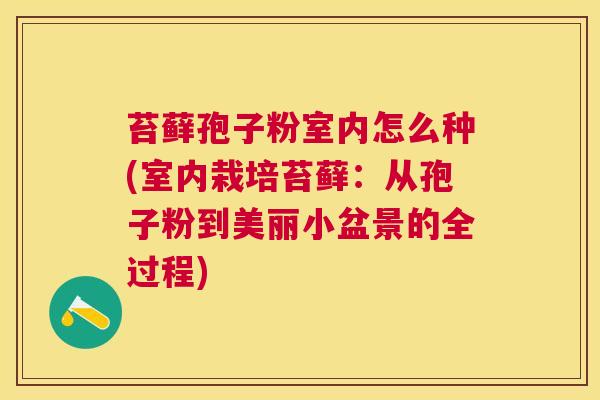 苔藓孢子粉室内怎么种(室内栽培苔藓:从孢子粉到美丽小盆景的全过程) 苔藓孢子粉室内怎么种(室内栽培苔藓:从孢子粉到美丽小盆景的全过程)