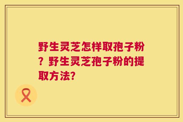 野生灵芝怎样取孢子粉？野生灵芝孢子粉的提取方法？