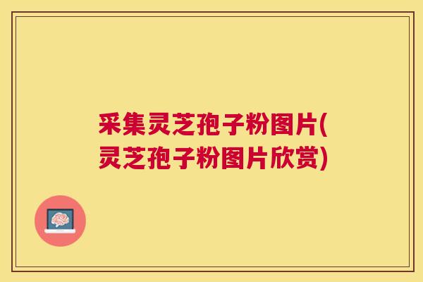 采集灵芝孢子粉图片(灵芝孢子粉图片欣赏) 采集灵芝孢子粉图片(灵芝孢子粉图片欣赏)