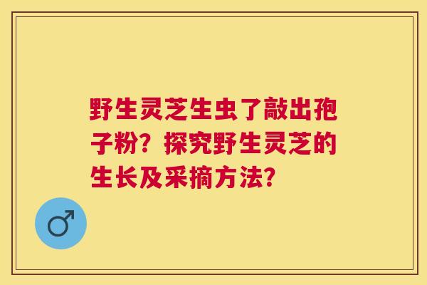 野生灵芝生虫了敲出孢子粉？探究野生灵芝的生长及采摘方法？