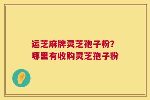 运芝麻牌灵芝孢子粉?哪里有收购灵芝孢子粉 运芝麻牌灵芝孢子粉?哪里有收购灵芝孢子粉