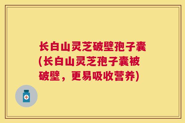 长白山灵芝破壁孢子囊(长白山灵芝孢子囊被破壁,更易吸收营养) 长白山灵芝破壁孢子囊(长白山灵芝孢子囊被破壁,更易吸收营养)