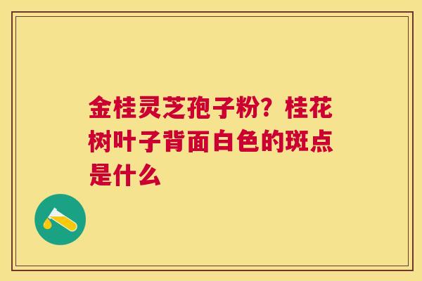 金桂灵芝孢子粉?桂花树叶子背面白色的斑点是什么 金桂灵芝孢子粉?桂花树叶子背面白色的斑点是什么