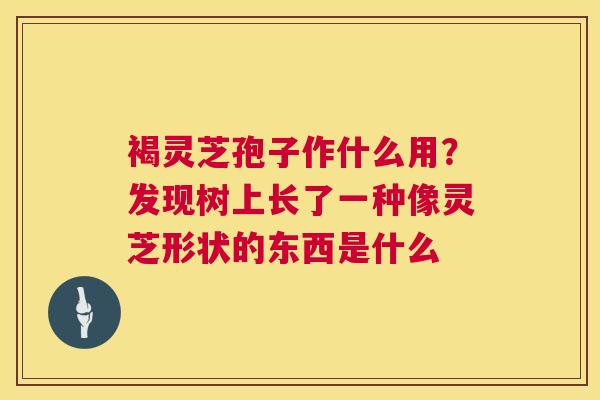 褐灵芝孢子作什么用?发现树上长了一种像灵芝形状的东西是什么 褐灵芝孢子作什么用?发现树上长了一种像灵芝形状的东西是什么