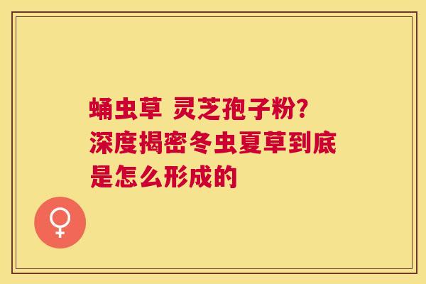 蛹虫草 灵芝孢子粉？深度揭密冬虫夏草到底是怎么形成的