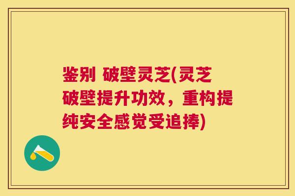 鉴别 破壁灵芝(灵芝破壁提升功效，重构提纯安全感觉受追捧)