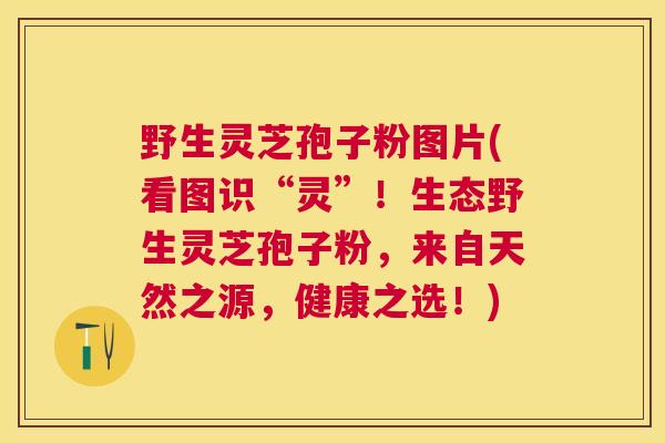 野生灵芝孢子粉图片(看图识“灵”!生态野生灵芝孢子粉,来自天然之源,健康之选!) 野生灵芝孢子粉图片(看图识“灵”!生态野生灵芝孢子粉,来自天然之源,健康之选!)