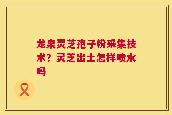 龙泉灵芝孢子粉采集技术?灵芝出土怎样喷水吗 龙泉灵芝孢子粉采集技术?灵芝出土怎样喷水吗