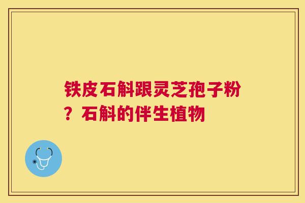 铁皮石斛跟灵芝孢子粉？石斛的伴生植物