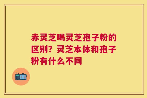 赤灵芝喝灵芝孢子粉的区别？灵芝本体和孢子粉有什么不同