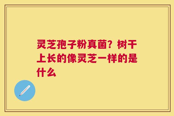 灵芝孢子粉真菌？树干上长的像灵芝一样的是什么