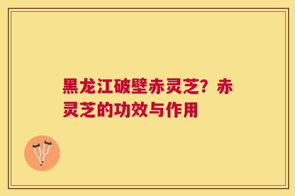 黑龙江破壁赤灵芝?赤灵芝的功效与作用 黑龙江破壁赤灵芝?赤灵芝的功效与作用