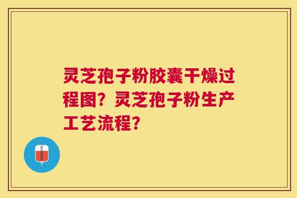灵芝孢子粉胶囊干燥过程图？灵芝孢子粉生产工艺流程？