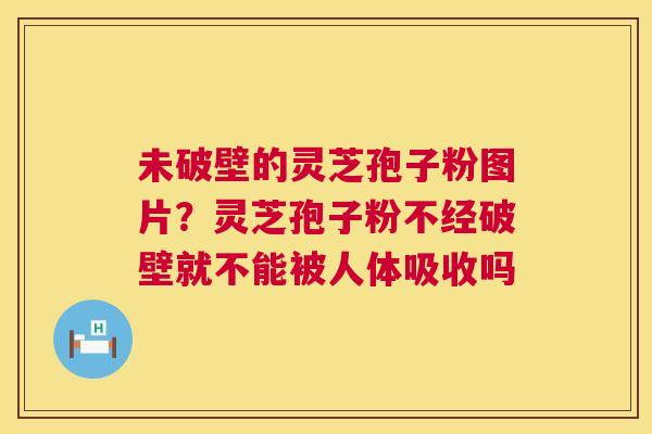未破壁的灵芝孢子粉图片?灵芝孢子粉不经破壁就不能被人体吸收吗 未破壁的灵芝孢子粉图片?灵芝孢子粉不经破壁就不能被人体吸收吗