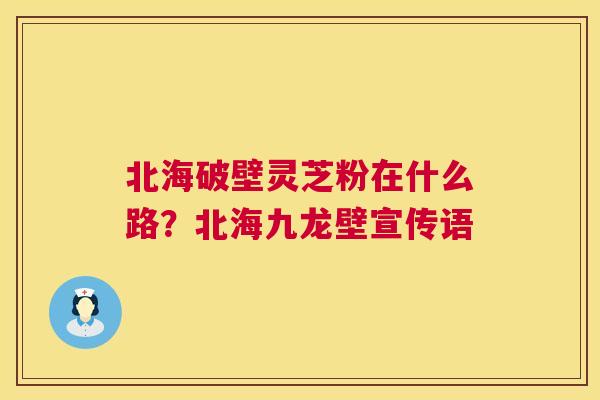 北海破壁灵芝粉在什么路？北海九龙壁宣传语