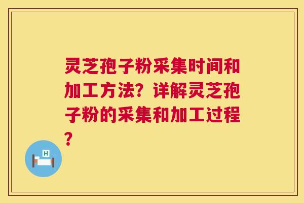 灵芝孢子粉采集时间和加工方法？详解灵芝孢子粉的采集和加工过程？