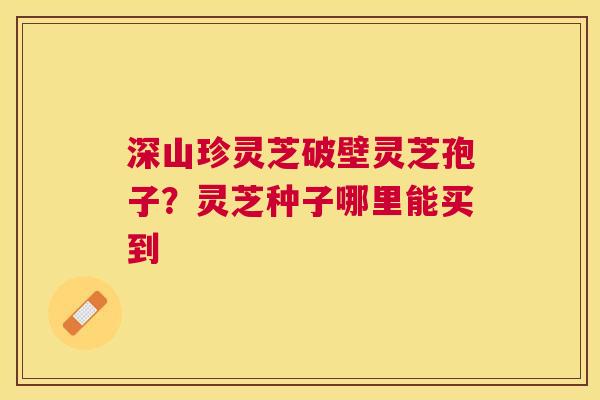 深山珍灵芝破壁灵芝孢子？灵芝种子哪里能买到