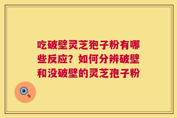 吃破壁灵芝狍子粉有哪些反应?如何分辨破壁和没破壁的灵芝孢子粉 吃破壁灵芝狍子粉有哪些反应?如何分辨破壁和没破壁的灵芝孢子粉