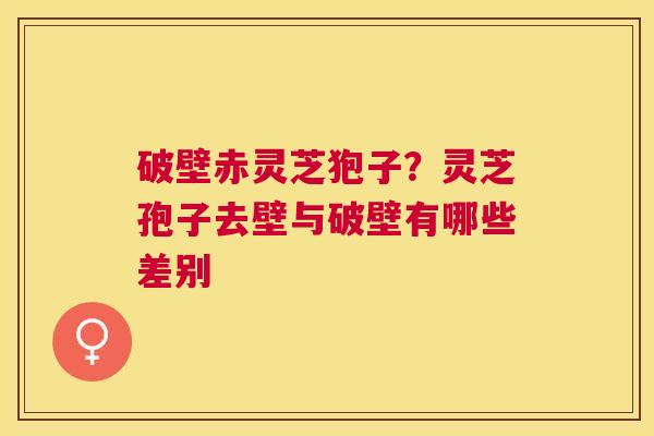破壁赤灵芝狍子？灵芝孢子去壁与破壁有哪些差别
