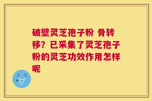 破壁灵芝孢子粉 骨转移?已采集了灵芝孢子粉的灵芝功效作用怎样呢 破壁灵芝孢子粉 骨转移?已采集了灵芝孢子粉的灵芝功效作用怎样呢