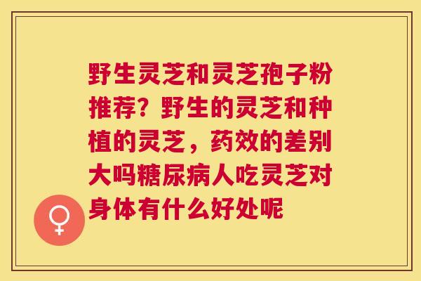 野生灵芝和灵芝孢子粉推荐?野生的灵芝和种植的灵芝,的差别大吗人吃灵芝对身体有什么好处呢 野生灵芝和灵芝孢子粉推荐?野生的灵芝和种植的灵芝,的差别大吗人吃灵芝对身体有什么好处呢
