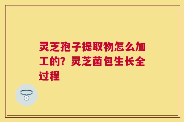 灵芝孢子提取物怎么加工的?灵芝菌包生长全过程 灵芝孢子提取物怎么加工的?灵芝菌包生长全过程