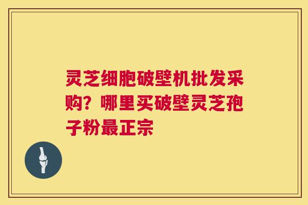 灵芝细胞破壁机批发采购？哪里买破壁灵芝孢子粉正宗