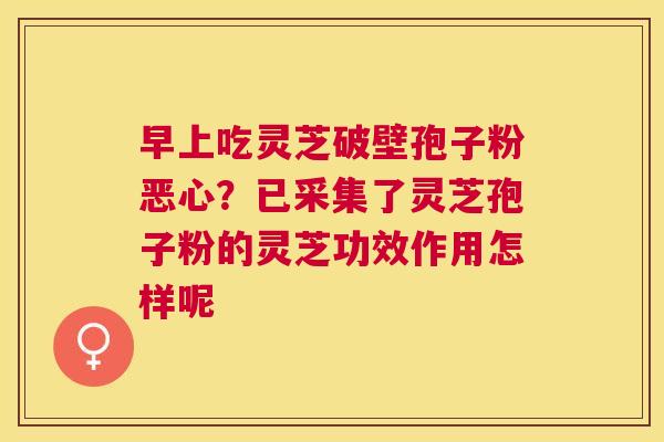 早上吃灵芝破壁孢子粉恶心？已采集了灵芝孢子粉的灵芝功效作用怎样呢