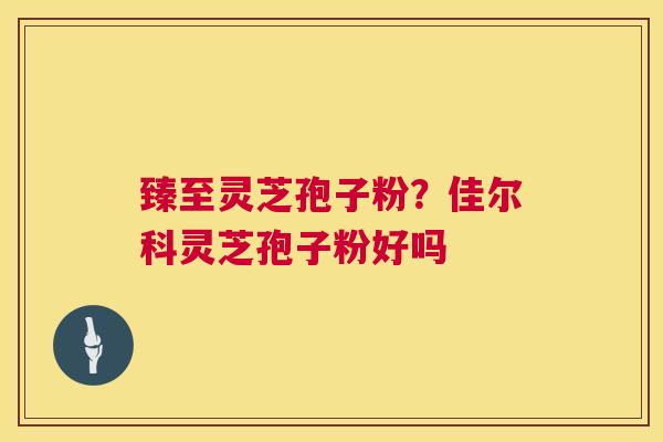 臻至灵芝孢子粉？佳尔科灵芝孢子粉好吗