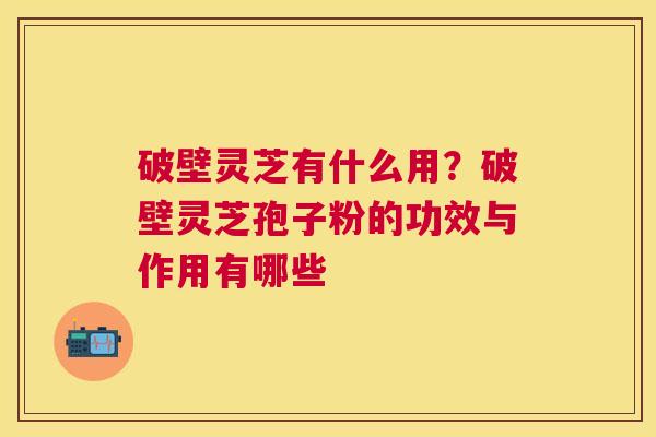 破壁灵芝有什么用?破壁灵芝孢子粉的功效与作用有哪些 破壁灵芝有什么用?破壁灵芝孢子粉的功效与作用有哪些