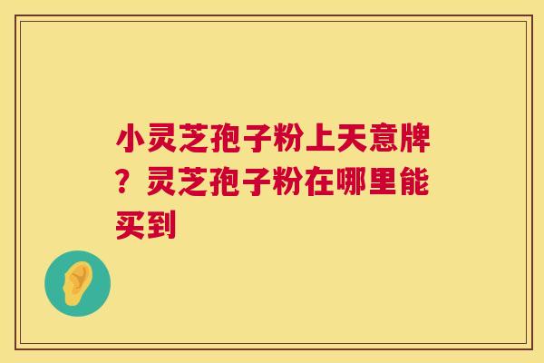 小灵芝孢子粉上天意牌？灵芝孢子粉在哪里能买到