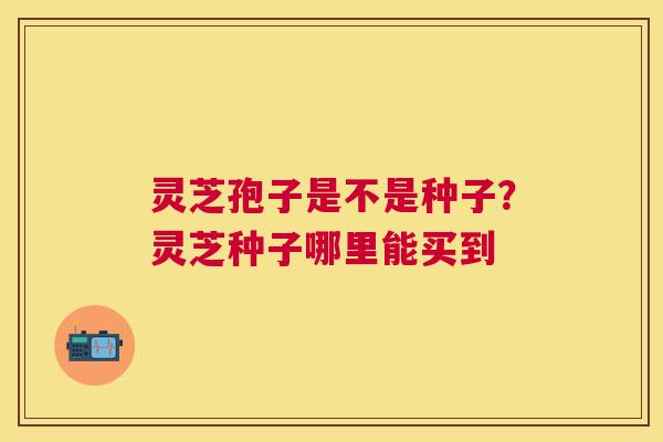 灵芝孢子是不是种子?灵芝种子哪里能买到 灵芝孢子是不是种子?灵芝种子哪里能买到