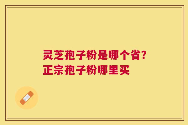 灵芝孢子粉是哪个省？正宗孢子粉哪里买