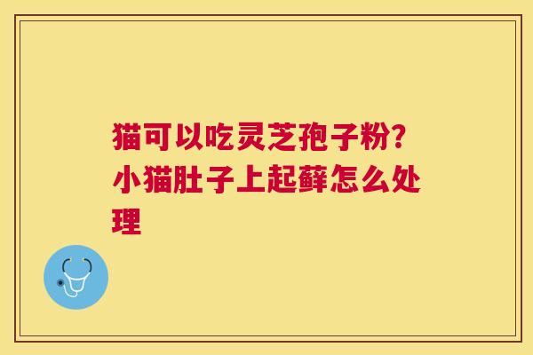 猫可以吃灵芝孢子粉？小猫肚子上起藓怎么处理